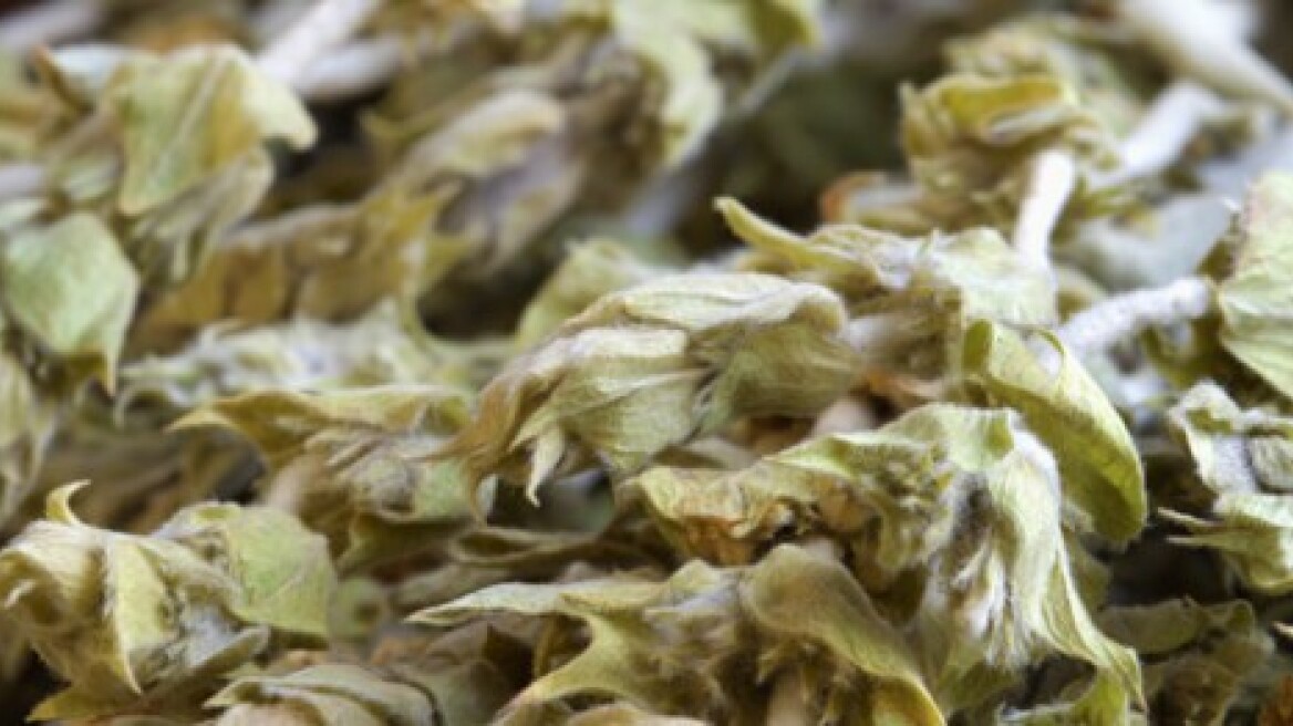 Ο Ανδρέας Λαγός προτείνει βότανα από… χωριό