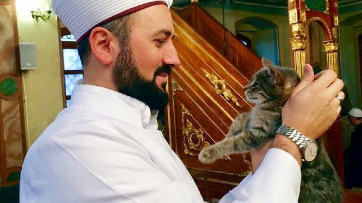 Istanbul mosque opens doors to strays