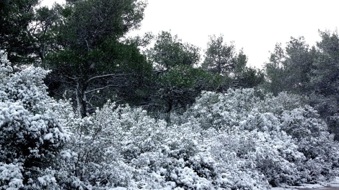 Extreme weather conditions cause problems around Greece