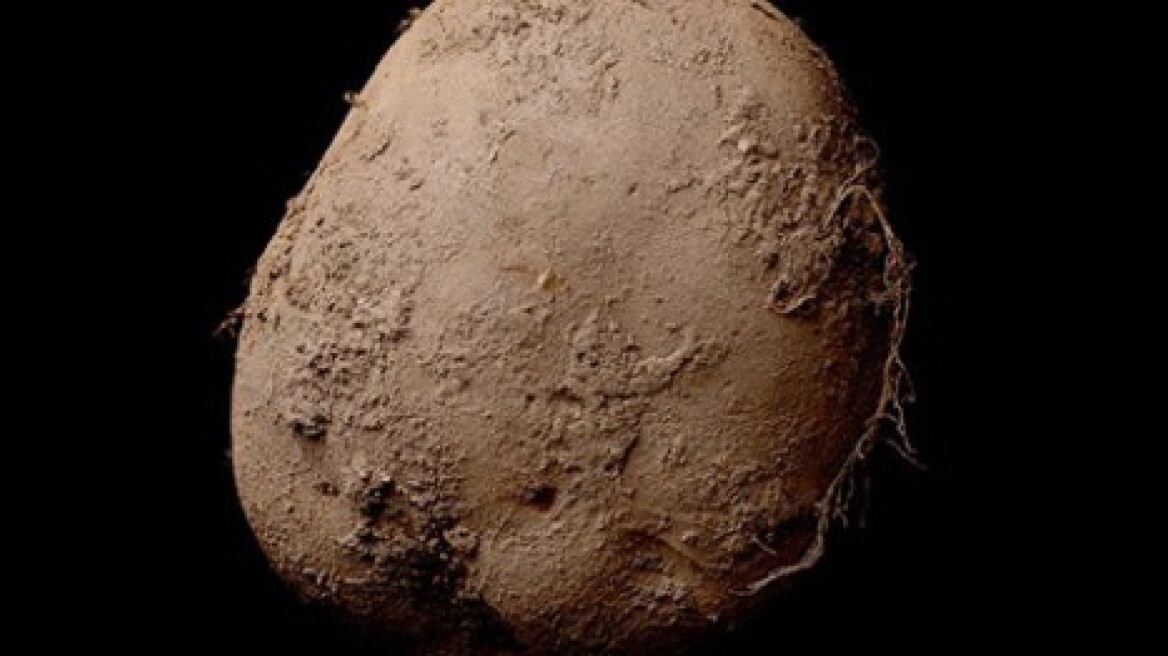 Αυτή η πατάτα κοστίζει 1.000.000 ευρώ!