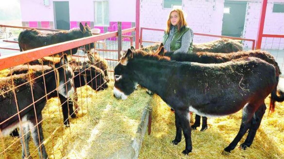 Τουρκία: Εκτοξεύτηκε η τιμή για το γάλα γαϊδούρας