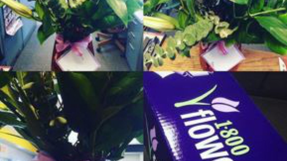 Δείτε τη μετοχή που κερδίζει πάντα πριν την γιορτή του Αγίου Βαλεντίνου