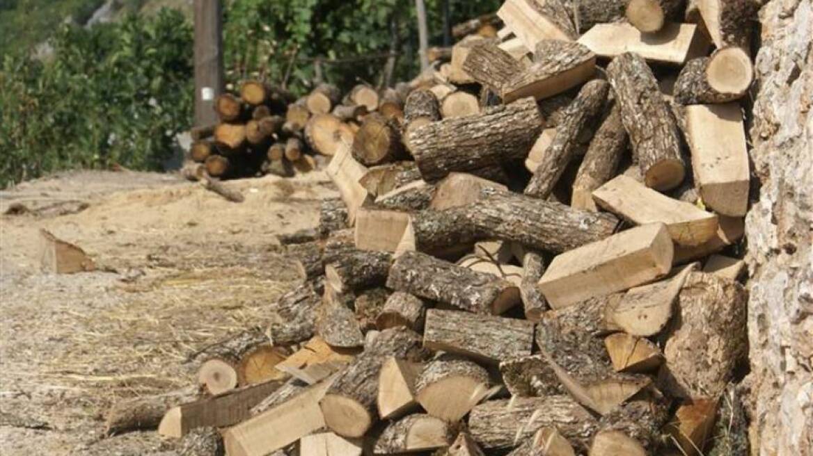 Καστοριά: Έφεραν μουλάρι για να μεταφέρουν τη λαθραία ξυλεία!