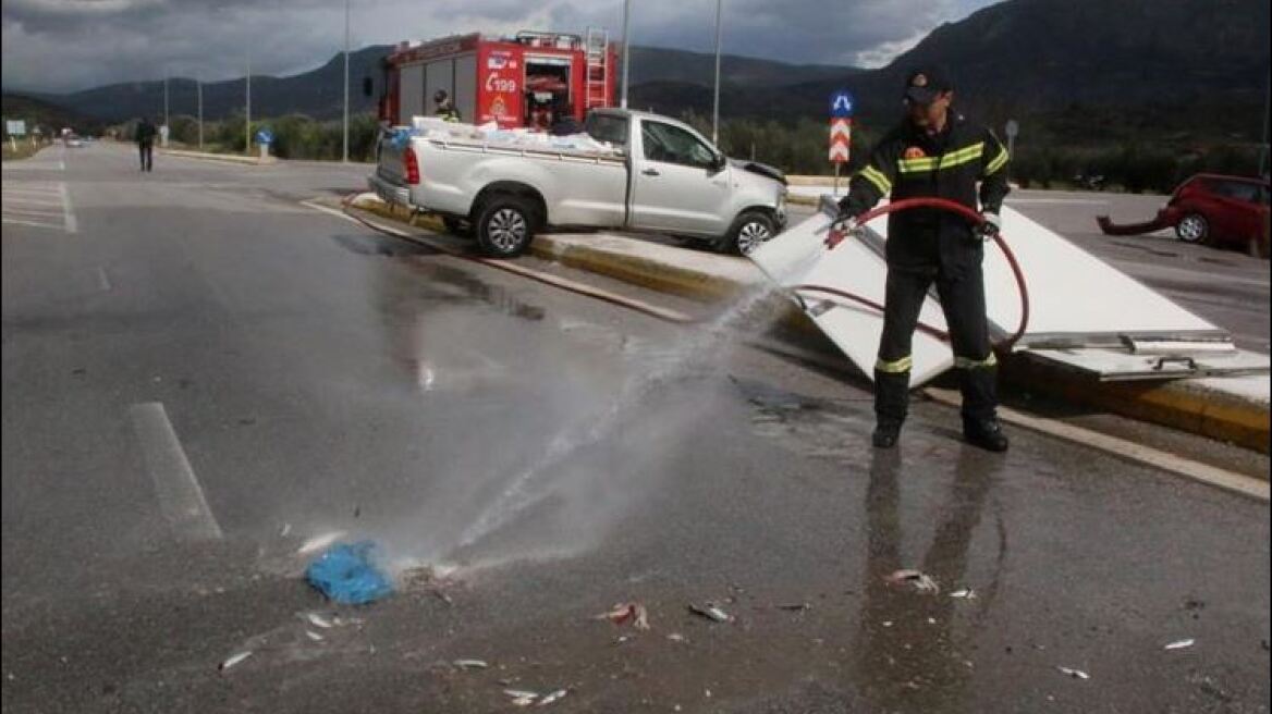 Γέμισε ψάρια η Εθνική οδός προς Μυκήνες