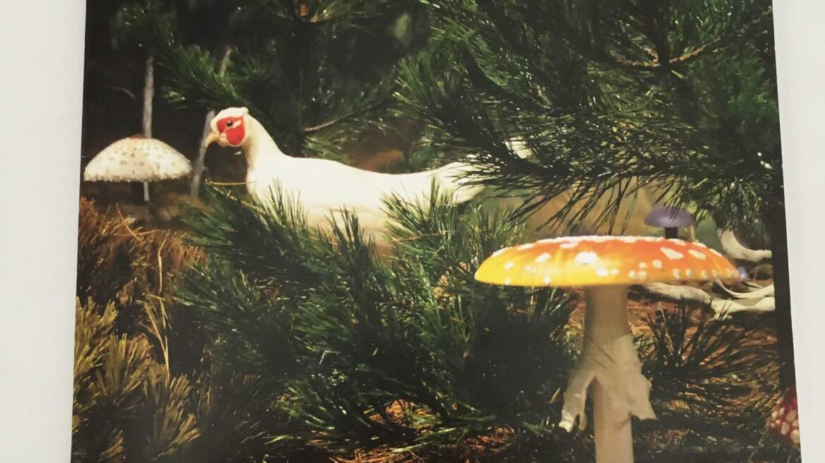 Περιοδικό για τα μανιτάρια από το Μουσείο Φυσικής Ιστορίας Μετεώρων