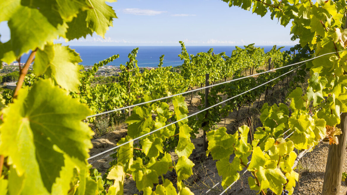 The top 10 European wine destinations