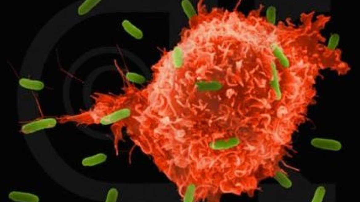 «Νικώντας... λέξη-λέξη»: Ό,τι πρέπει να ξέρετε για να καταλάβετε τη γλώσσα του καρκίνου 