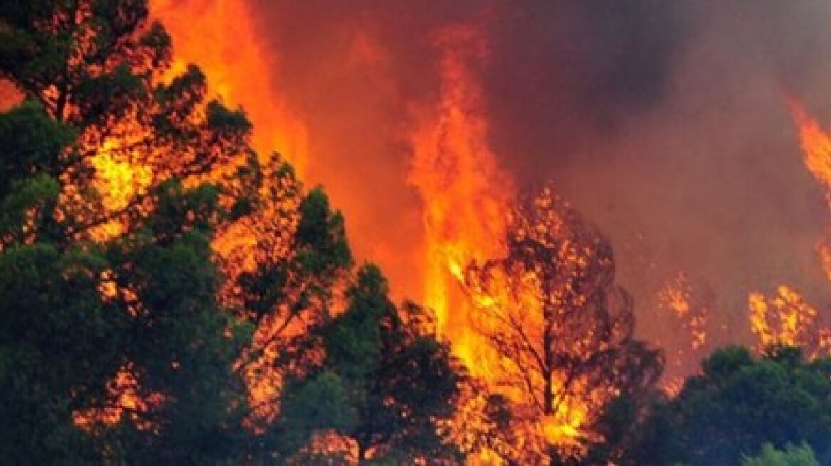 Φωτιά στα Σφακιά Κρήτης: Η δύσβατη περιοχή δυσκολεύει τους πυροσβέστες