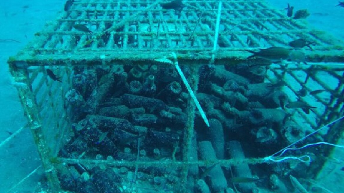Κρασί από τα βάθη της θάλασσας