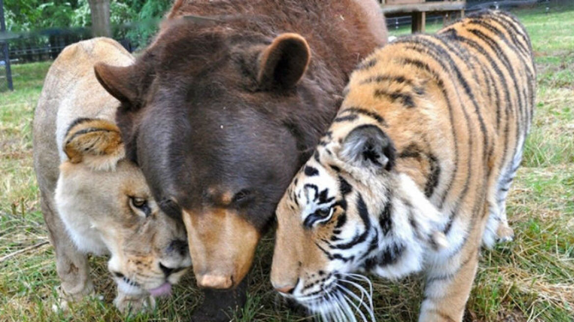 Μια διαφορετική οικογένεια
