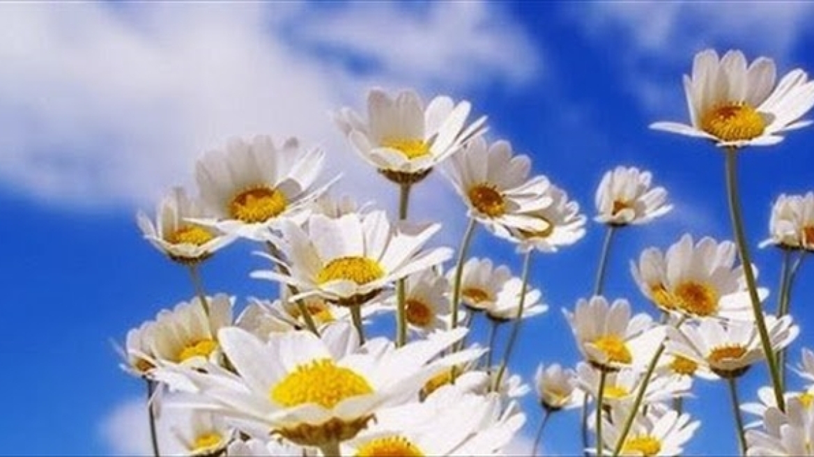 Καλός ο καιρός σήμερα σε ολόκληρη τη χώρα 