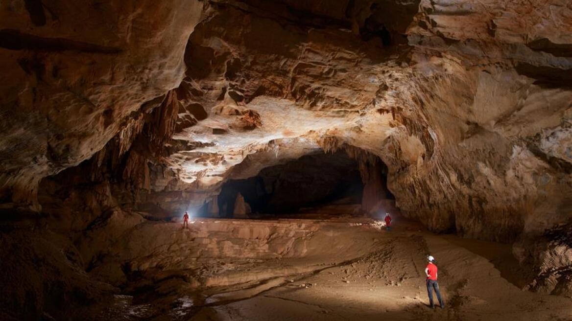 Scientists discover doline cave with unidentified animals and plants (pics)