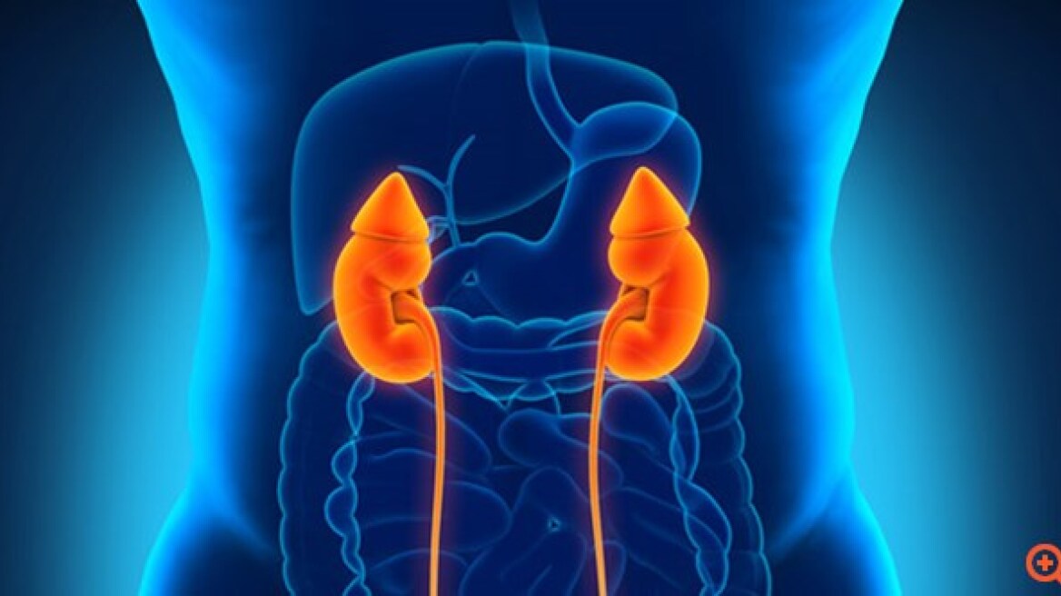 Έρευνα: Η μεταμόσχευση νεφρών μπορεί να προχωρήσει και χωρίς συμβατό δότη 