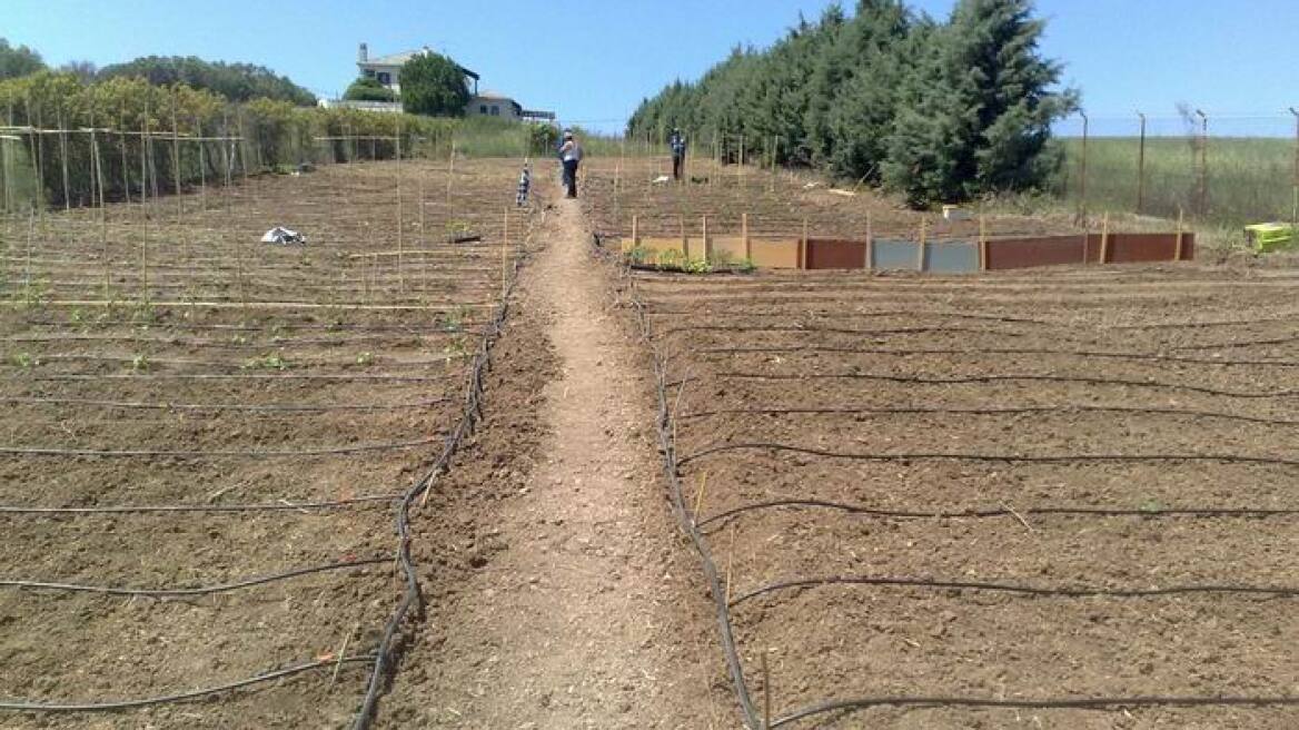 Ξήλωναν συστήματα άρδευσης από τα χωράφια, αξίας πολλών χιλιάδων ευρώ
