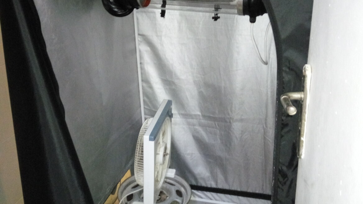 Βρέθηκαν εργαστήρια υδροπονικής κάνναβης σε Σάμο και Βόλο