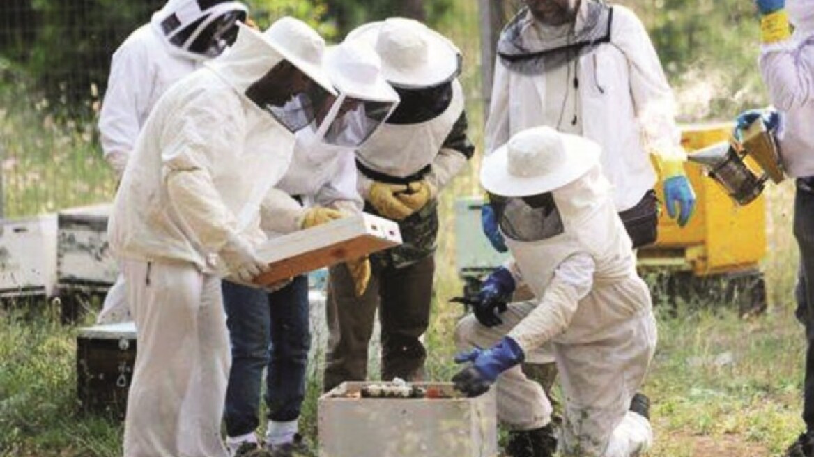 Σεμινάρια αγροτικής εκπαίδευσης στο κτήμα Συγγρού