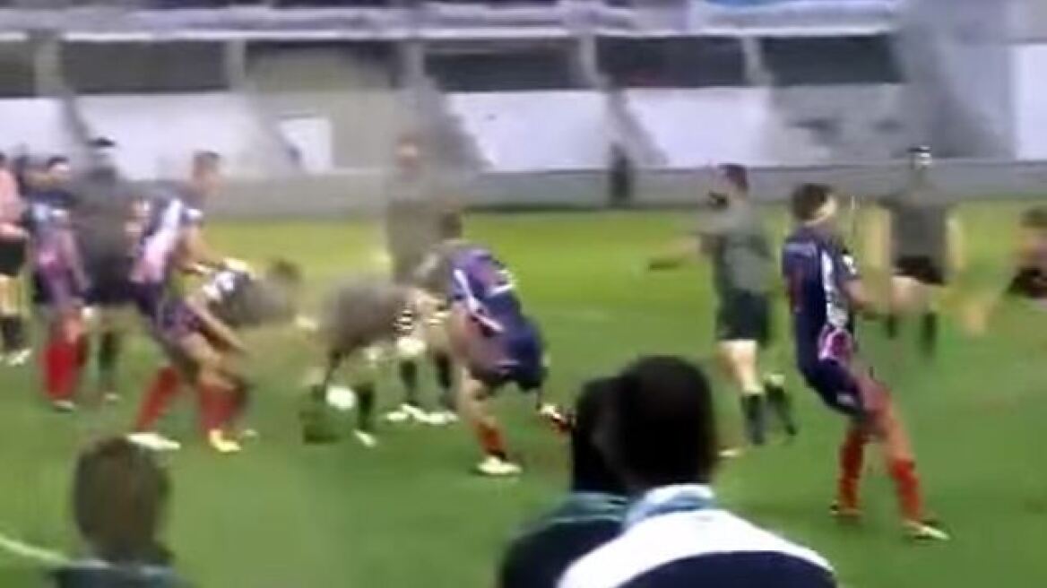 Βίντεο: Απίστευτο ξύλο σε αγώνα ράγκμπι στην Γαλλία
