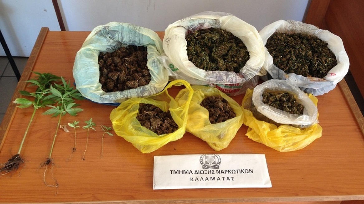 Μεσσηνία: Χασισοκαλλιεργητής τρύγησε ενάμισι κιλό χασίς