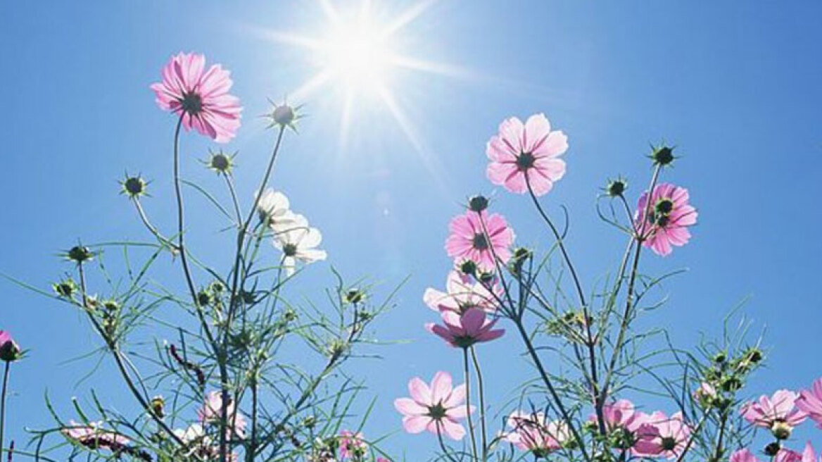 Ανοιξιάτικος και σήμερα ο καιρός σε όλη τη χώρα