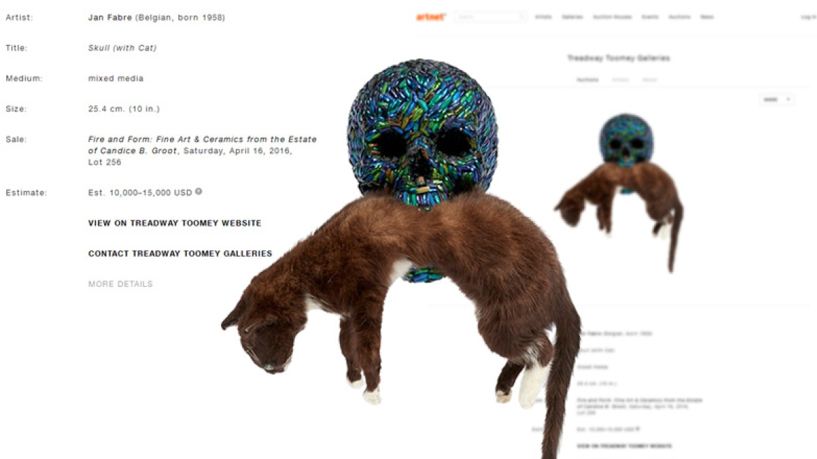 Μια γάτα από τη Φλάνδρα ή τα Ιμαλάια; 