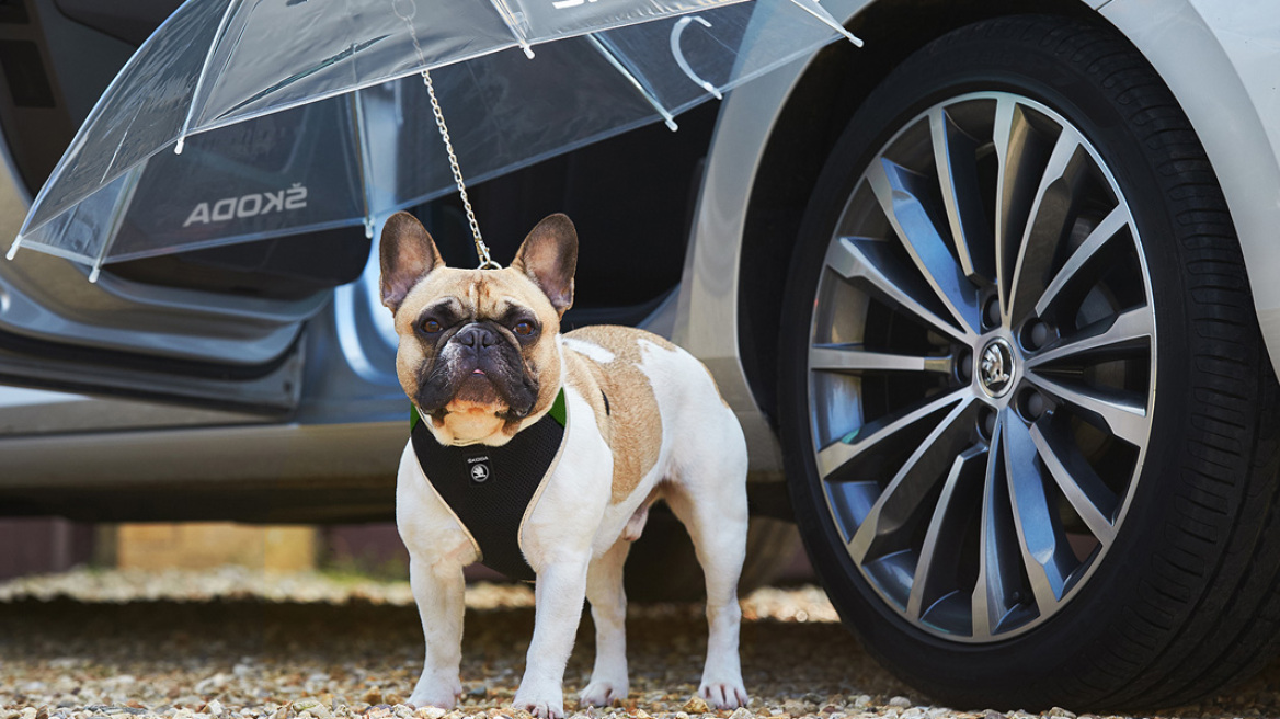 Το... έκαψε η Skoda!