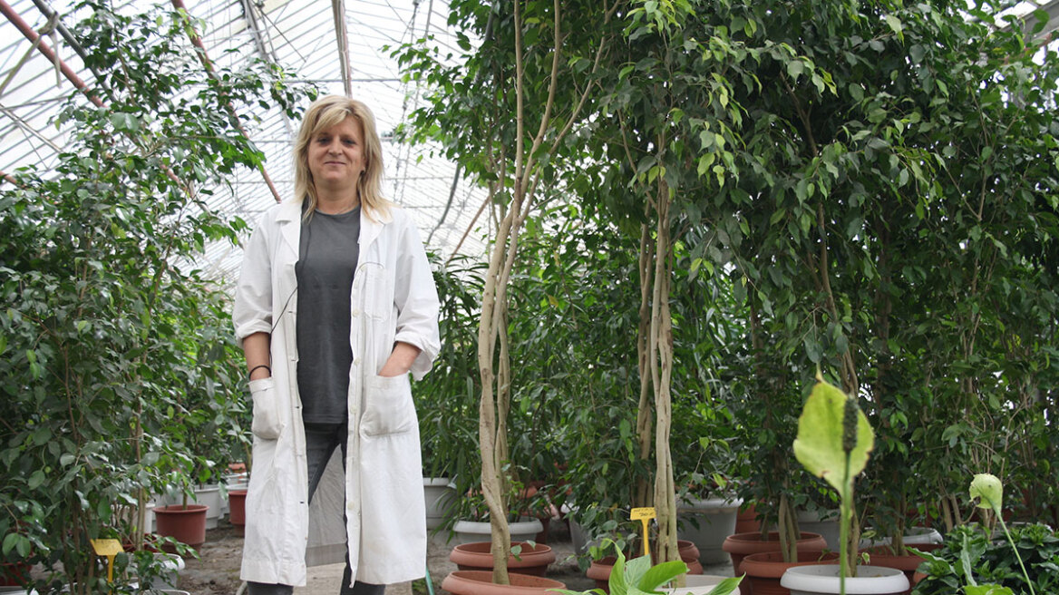 Η κυρά των λουλουδιών