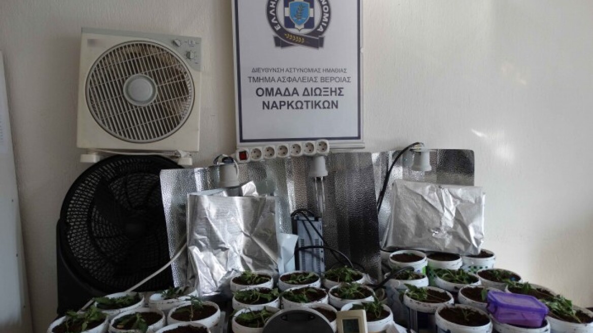 Υδροπονική χασισοκαλλιέργεια σε σπίτι στη Βέροια