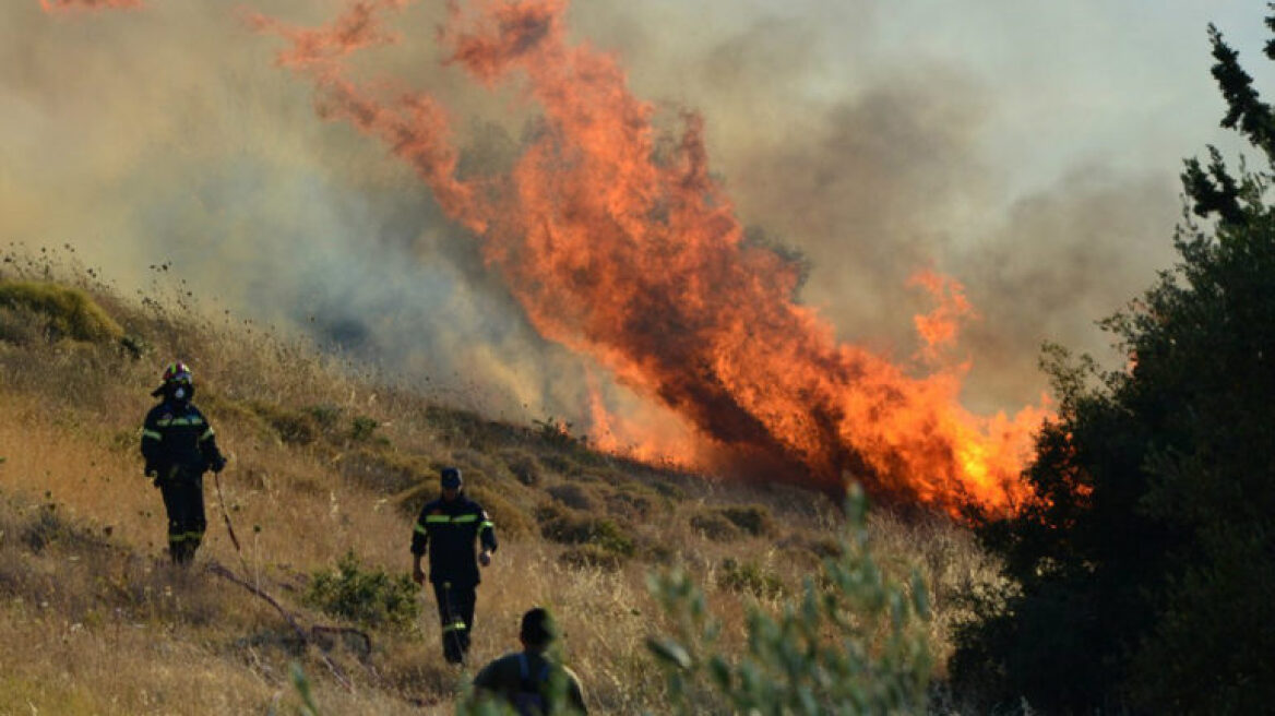Κρήτη: Μεγάλη φωτιά σε δασική έκταση στο Λασίθι