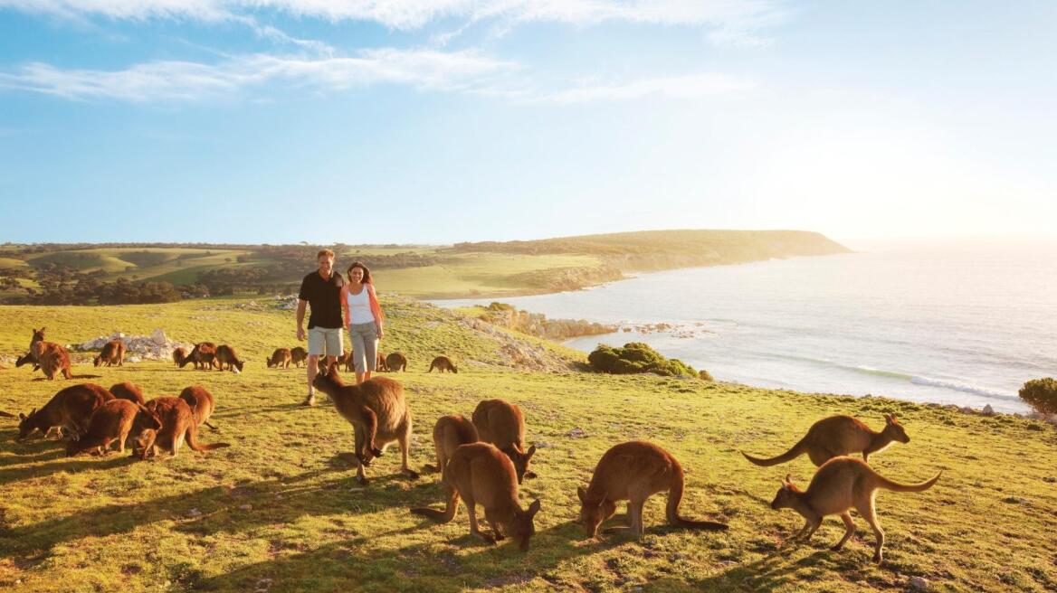 360-degree travel videos open new path to travel industry