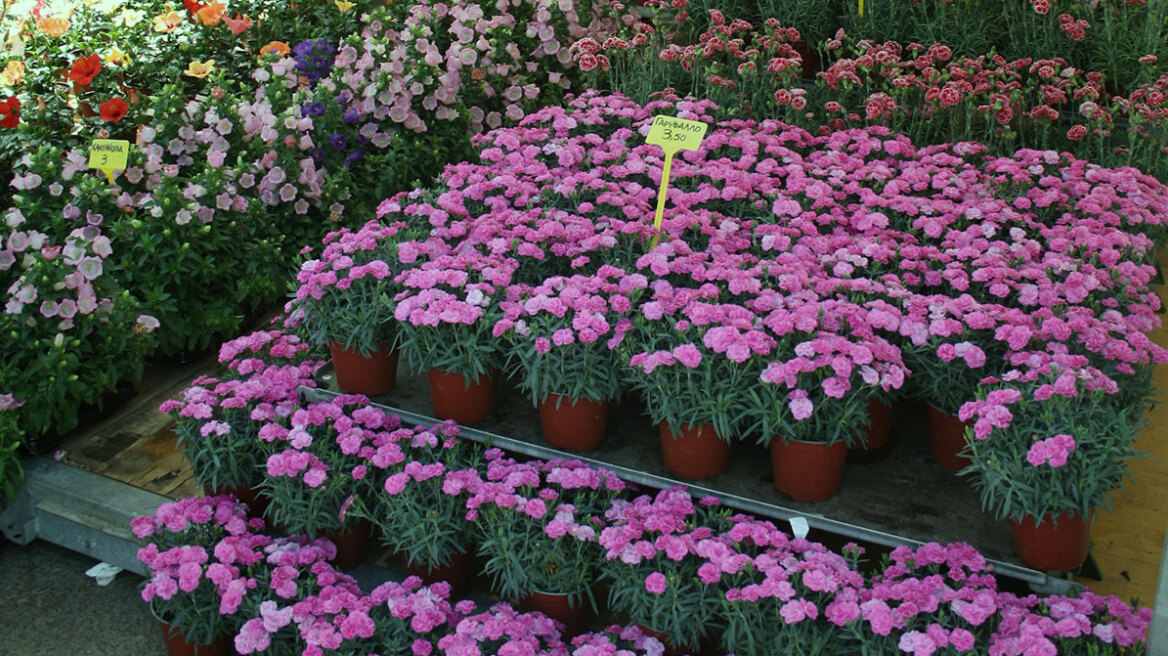 Εποχή για κήπους