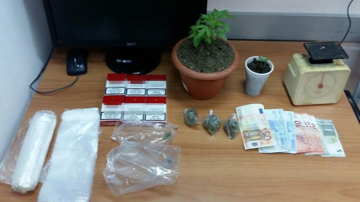 Κομοτηνή: Πατέρας και κόρη καλλιεργούσαν χασισόδεντρα