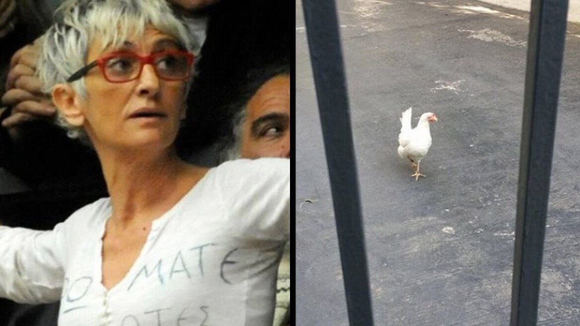 Η Αυγή Βουτσινά καταγγέλλει: Άντρες του Μαξίμου με χτύπησαν