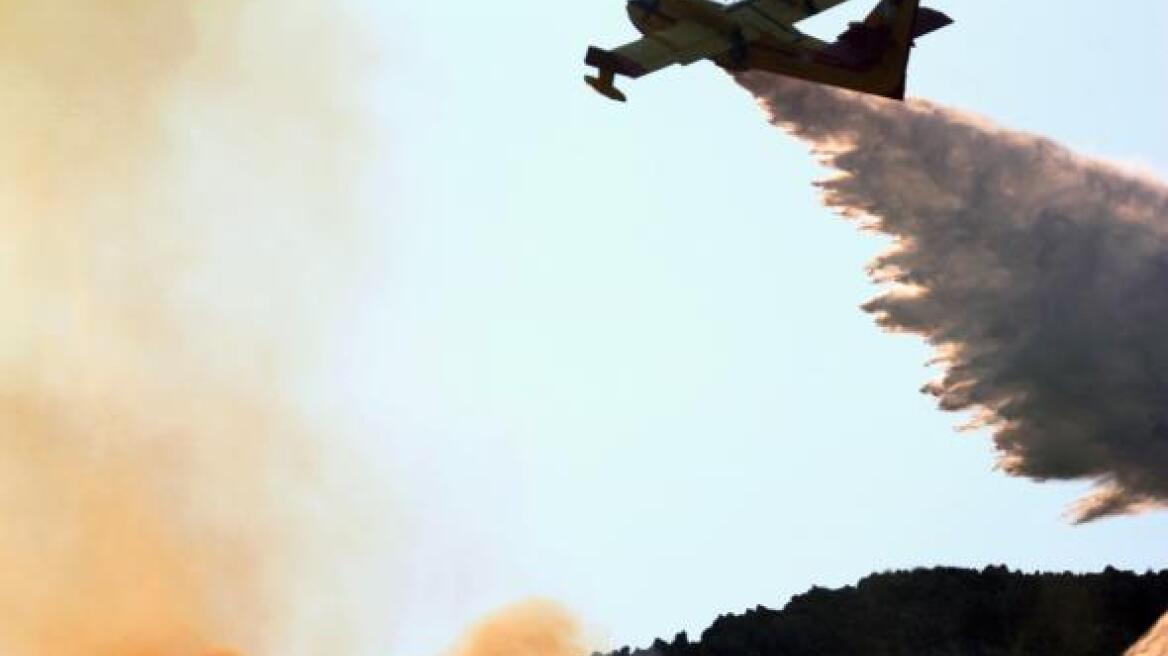 Υπό έλεγχο η φωτιά στη Χάλκη Νεμέας