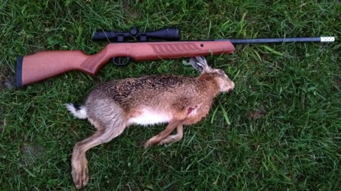 Λασίθι: Ο λαγός έστειλε τρεις στον εισαγγελέα