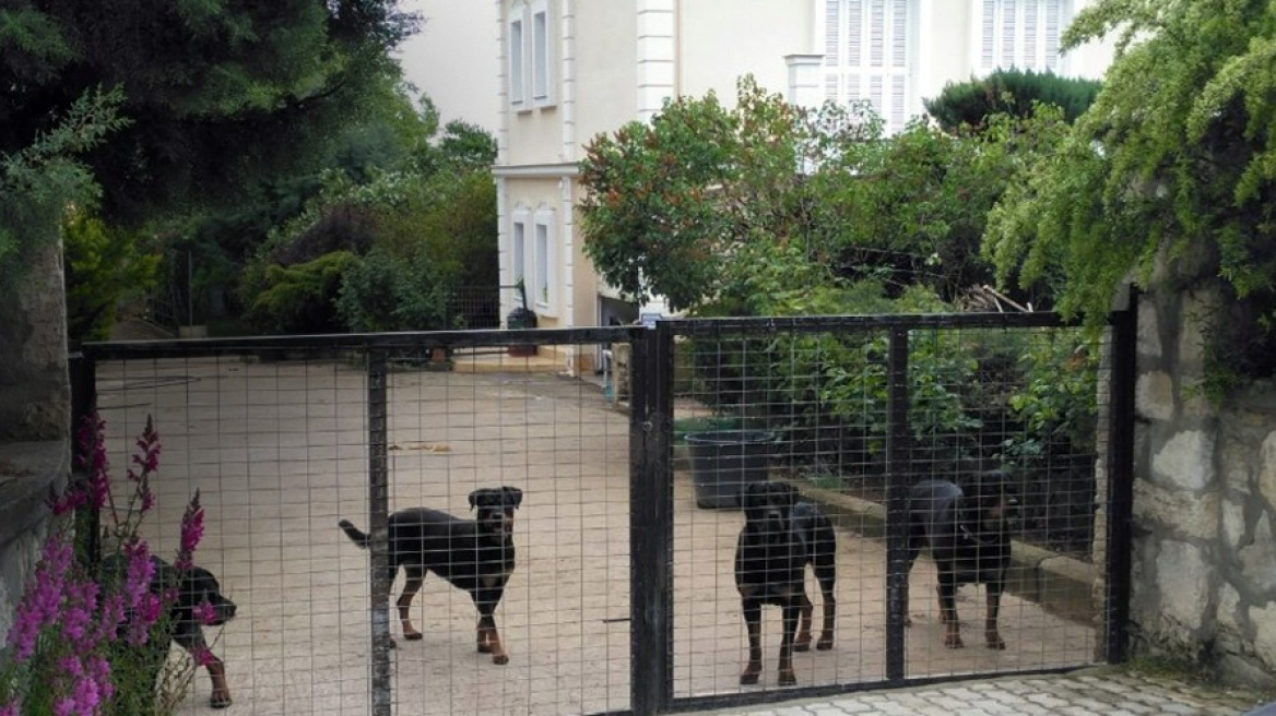 Kozani: 5-year-old dies after being attacked by Rottweilers