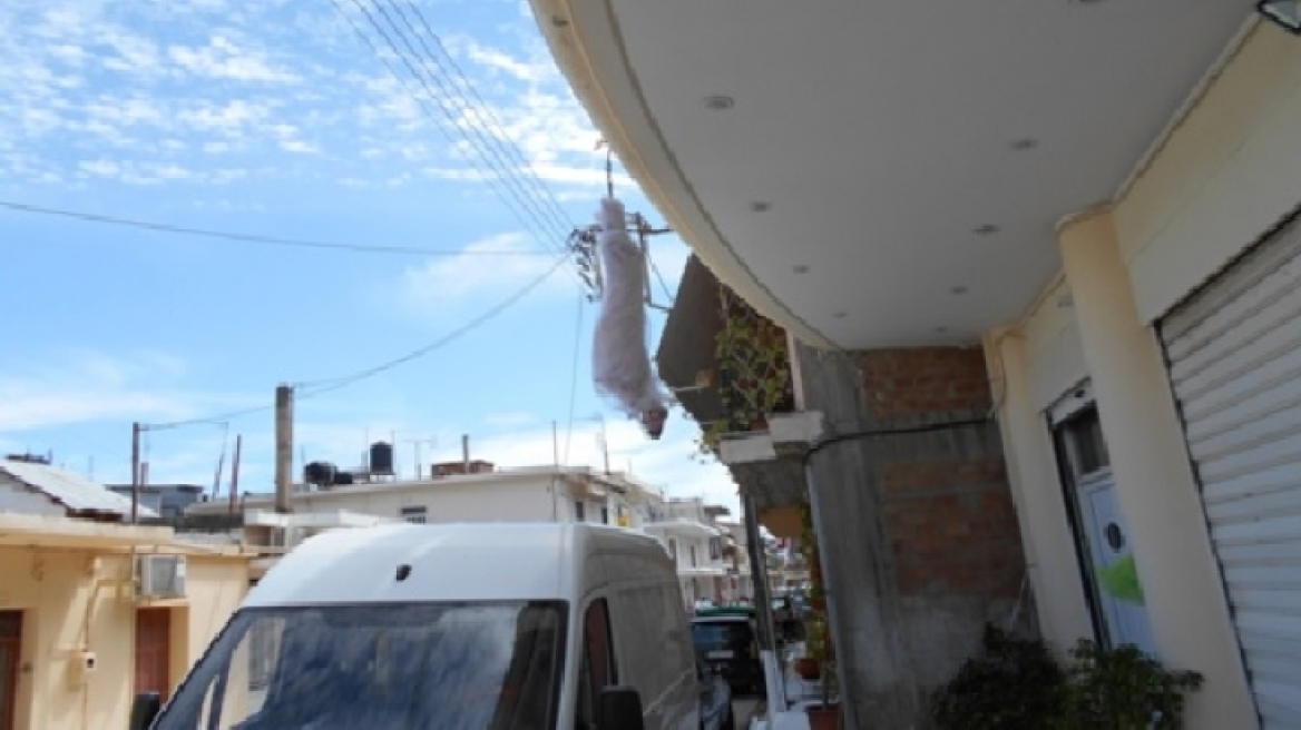 Κάτω Αχαΐα: Ρομά κρεμάνε αρνιά στα μπαλκόνια τους