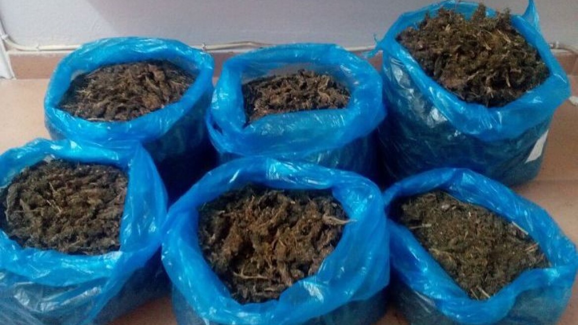 Λευκάδα: Συνελήφθη στο σπίτι του με 8 κιλά κάνναβη