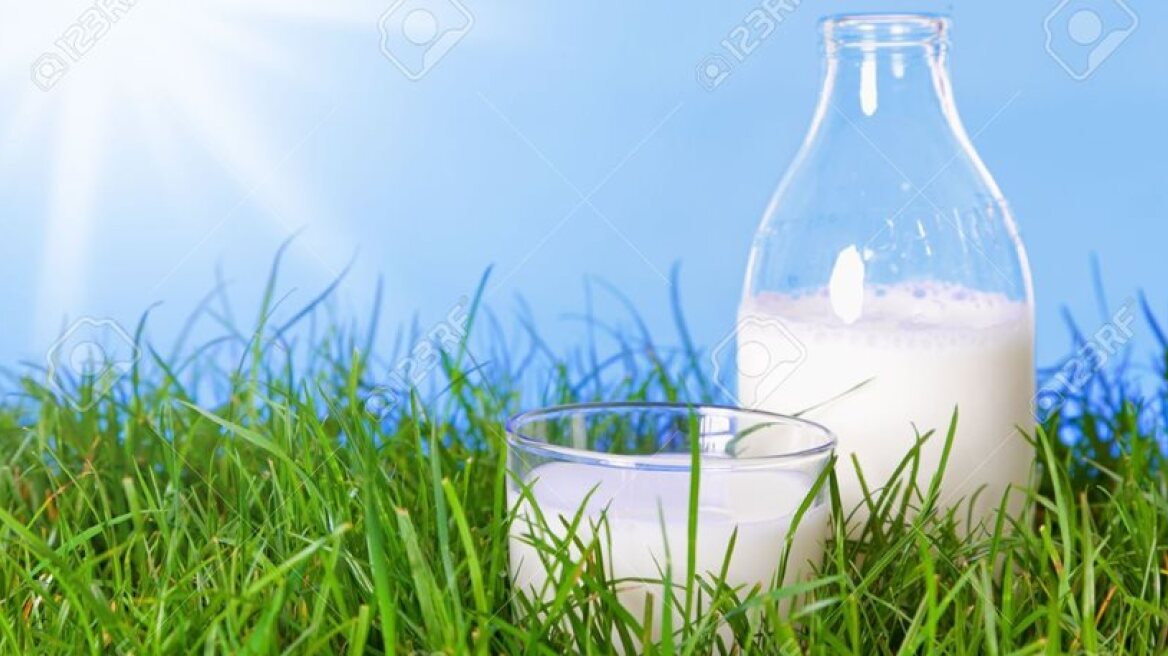 Australian business develops 100-day fresh milk