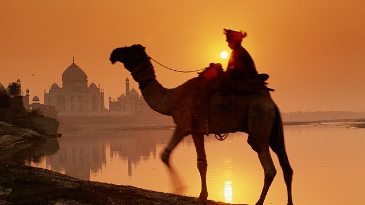 Ινδία: Καμήλα σκότωσε τον ιδιοκτήτη της γιατί την ξέχασε δεμένη στον καύσωνα
