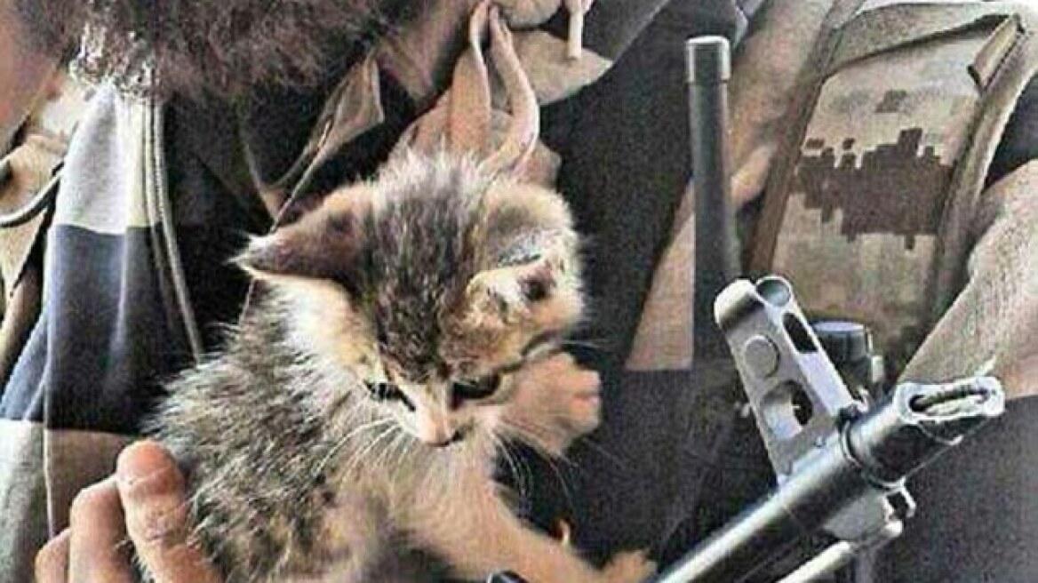 Οι τζιχαντιστές φωτογραφίζονται αγκαλιά με γατάκια για να προσελκύσουν μαχητές