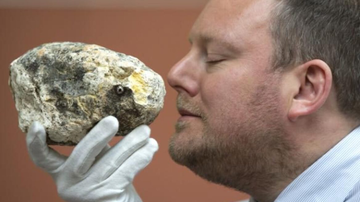 Φτιάξτε αφροδισιακό σορμπέ με συνταγή του 19ου αιώνα