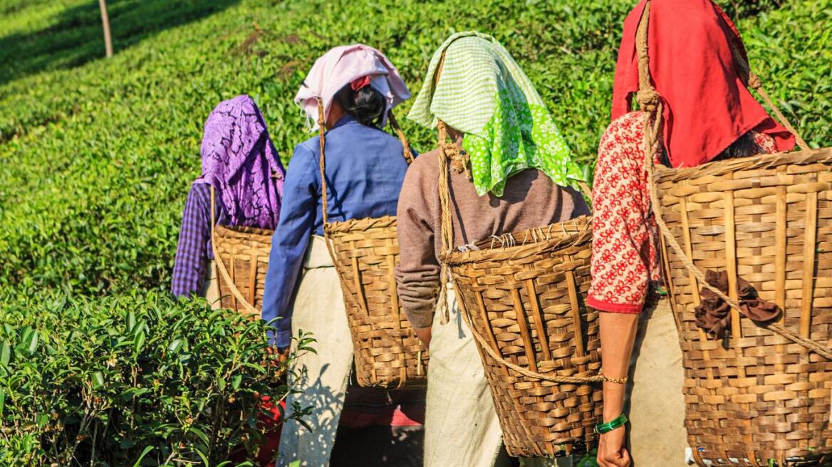 Ινδές μετανάστριες σε αραβικά κράτη πωλούνται για 4.000 δολάρια!