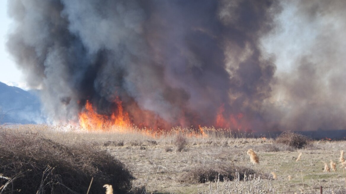 Κύπρος: Έκαιγε χόρτα και κάηκε ζωντανή