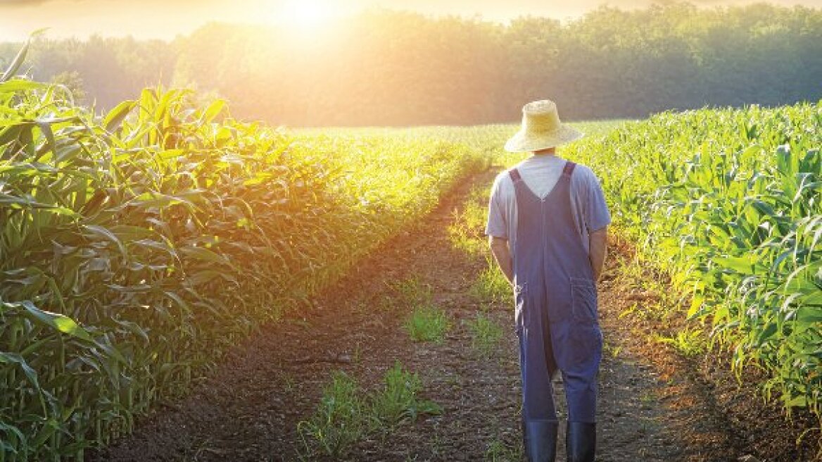 Απειλή για τους αγρότες –και όχι μόνο– ο ήλιος