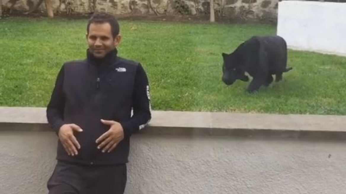 Black panther ‘pounces’ on man only to lick his face! (video)