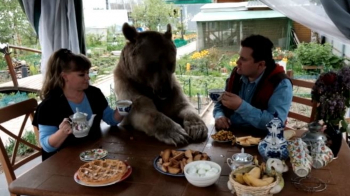 Οικογένεια Ρώσων υιοθέτησε μια... αρκούδα!