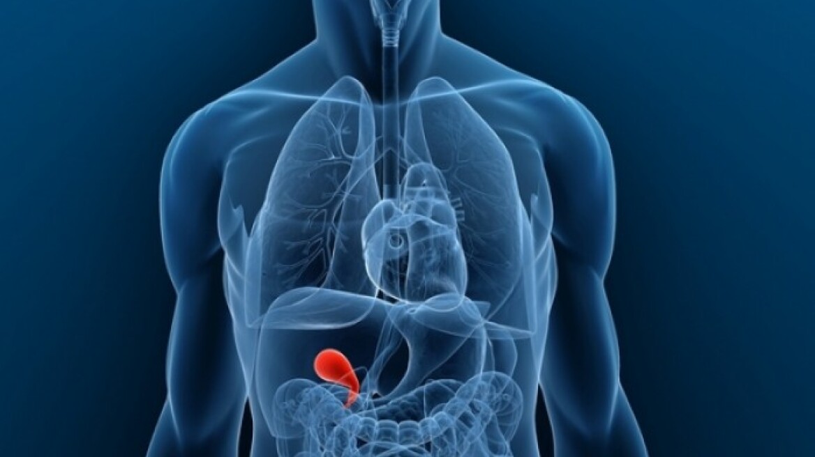 Η χολή και οι μύθοι που τη συνοδεύουν