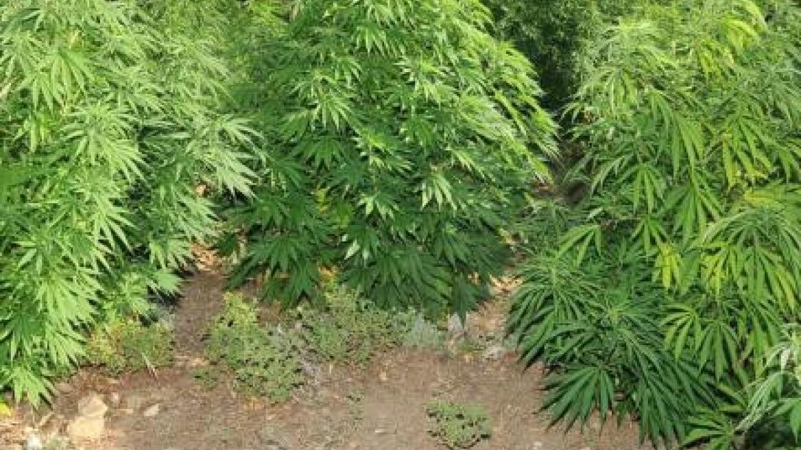 Αποζημιώθηκε γιατί έμεινε στη φυλακή για ένα χρόνο και ήταν αθώος