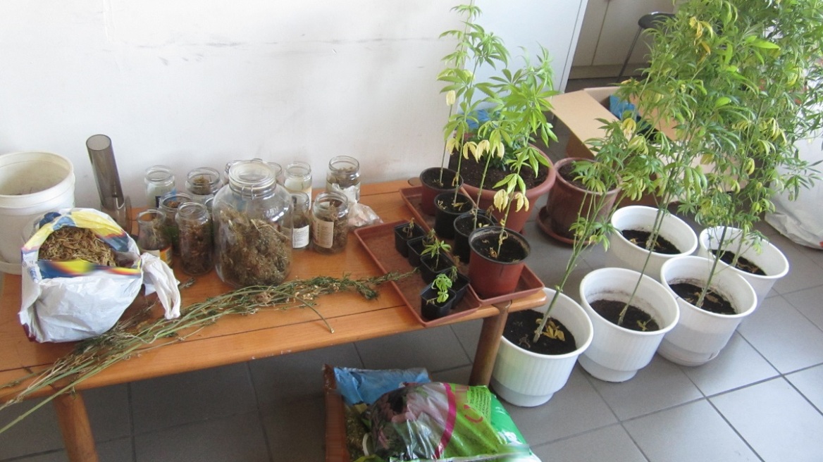 Μισό κιλό χασίς και φυτεία στην Αρκαδία