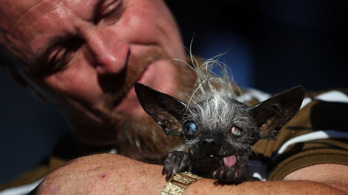 Δείτε το πιο άσχημο σκυλί στον κόσμο